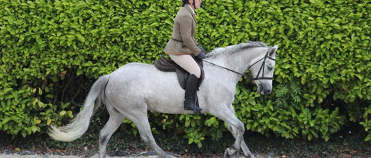 Healing My Connies: Thomasina’s Story with The Miracle Herb Marshmallow Root