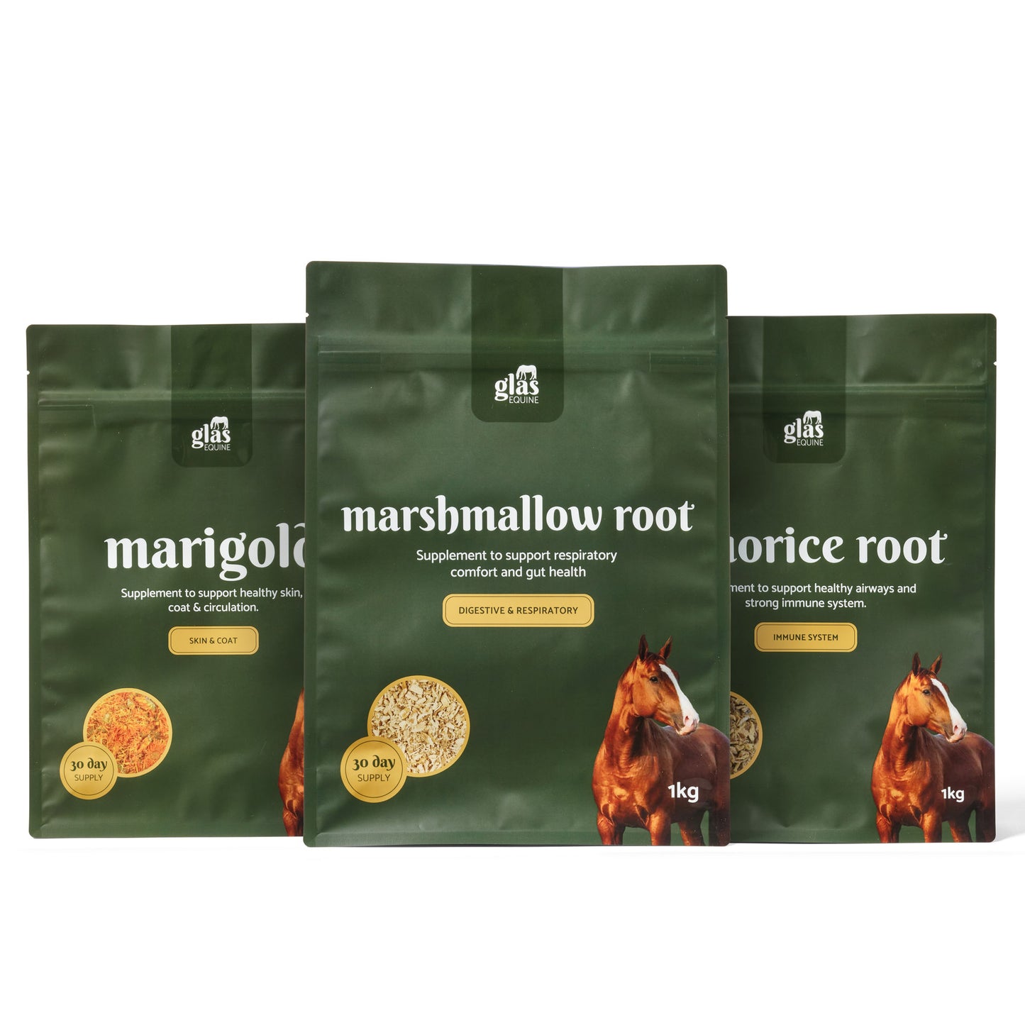 Winter Blend Immune Bundle