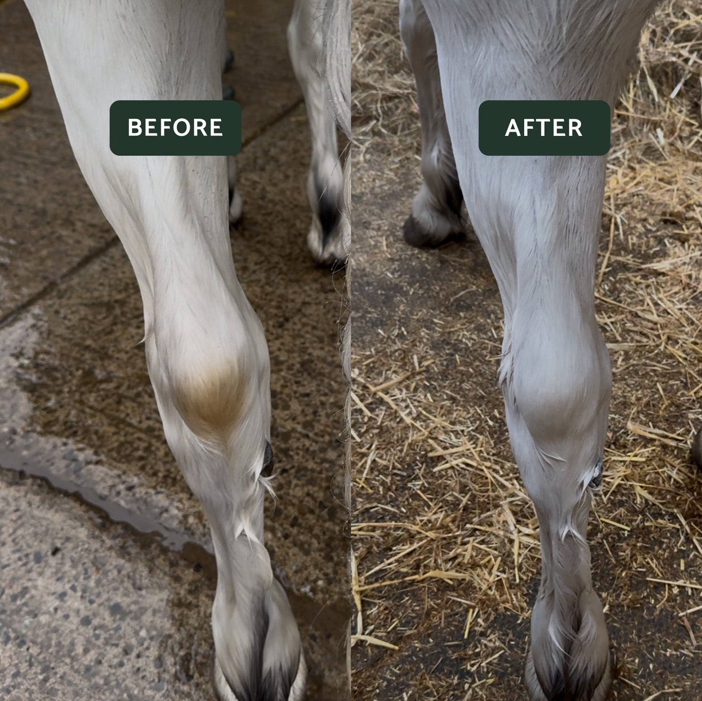 Show Ring Finish Bundle