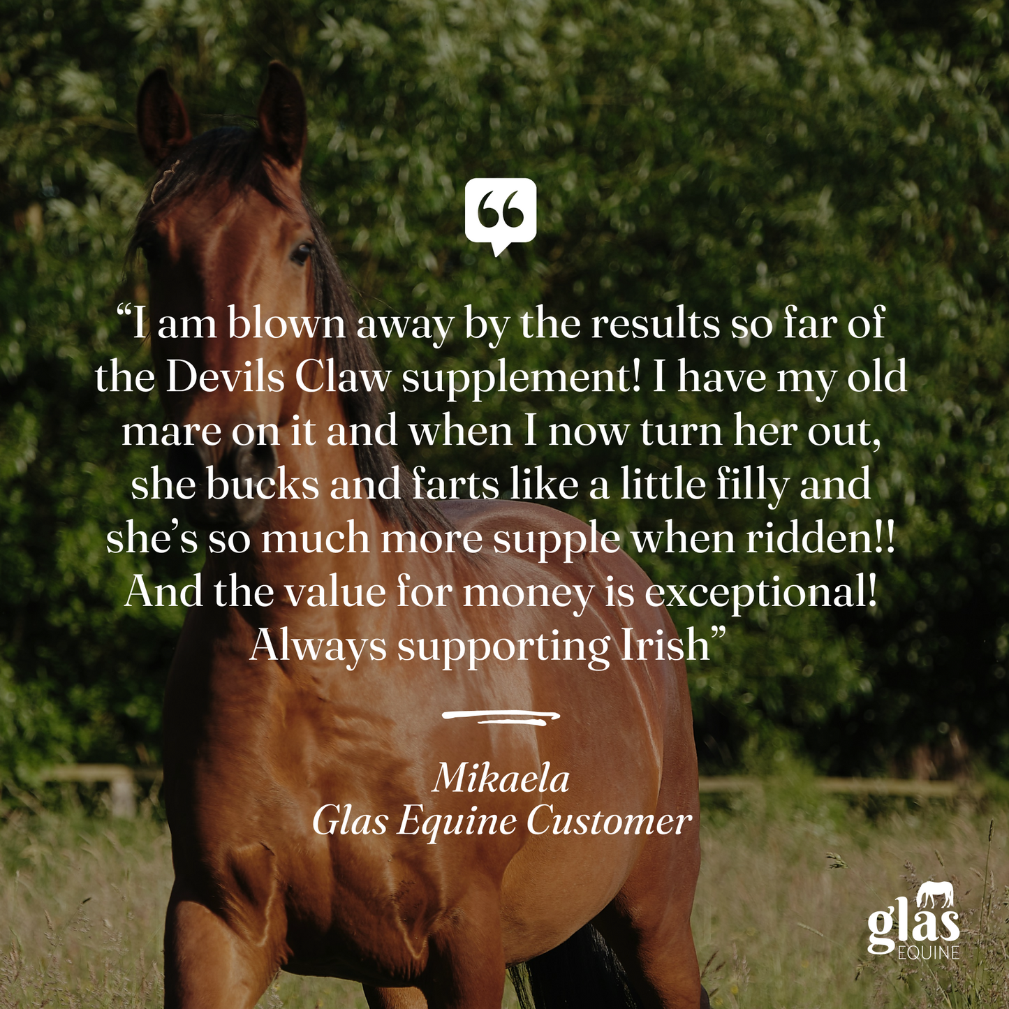 Devil's Claw Joint Support & Injury Care