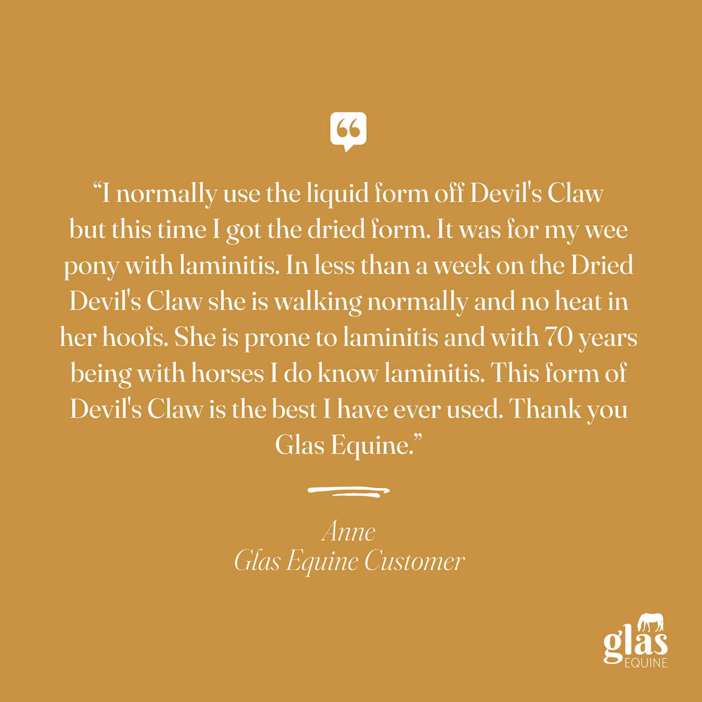 Devil's Claw Joint Support & Injury Care