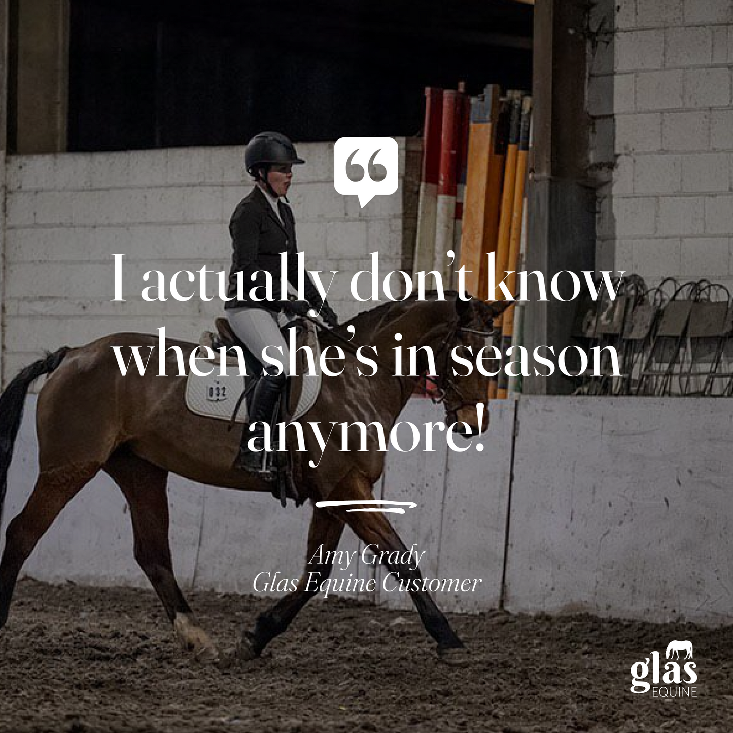 Mellow Mare Mood Balancer