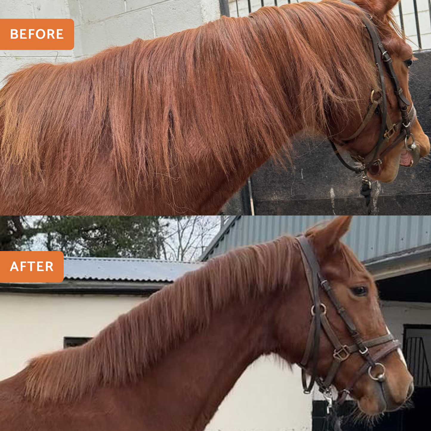 Wooden Mane & Tail Thinning Knife - Glas Equine