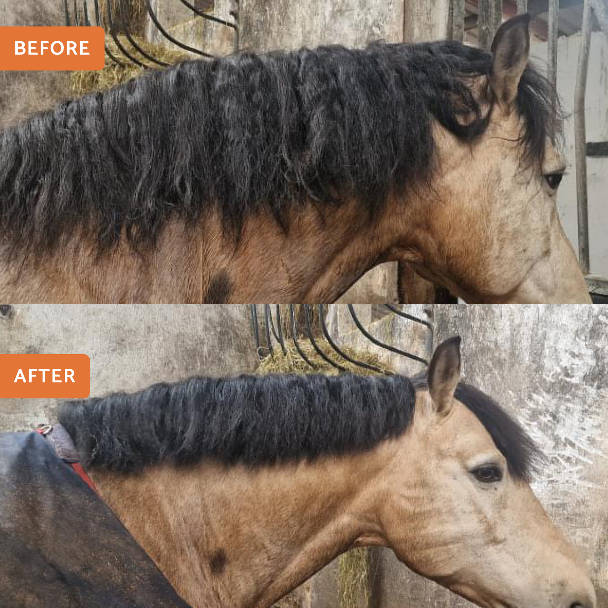 Wooden Mane & Tail Thinning Knife - Glas Equine