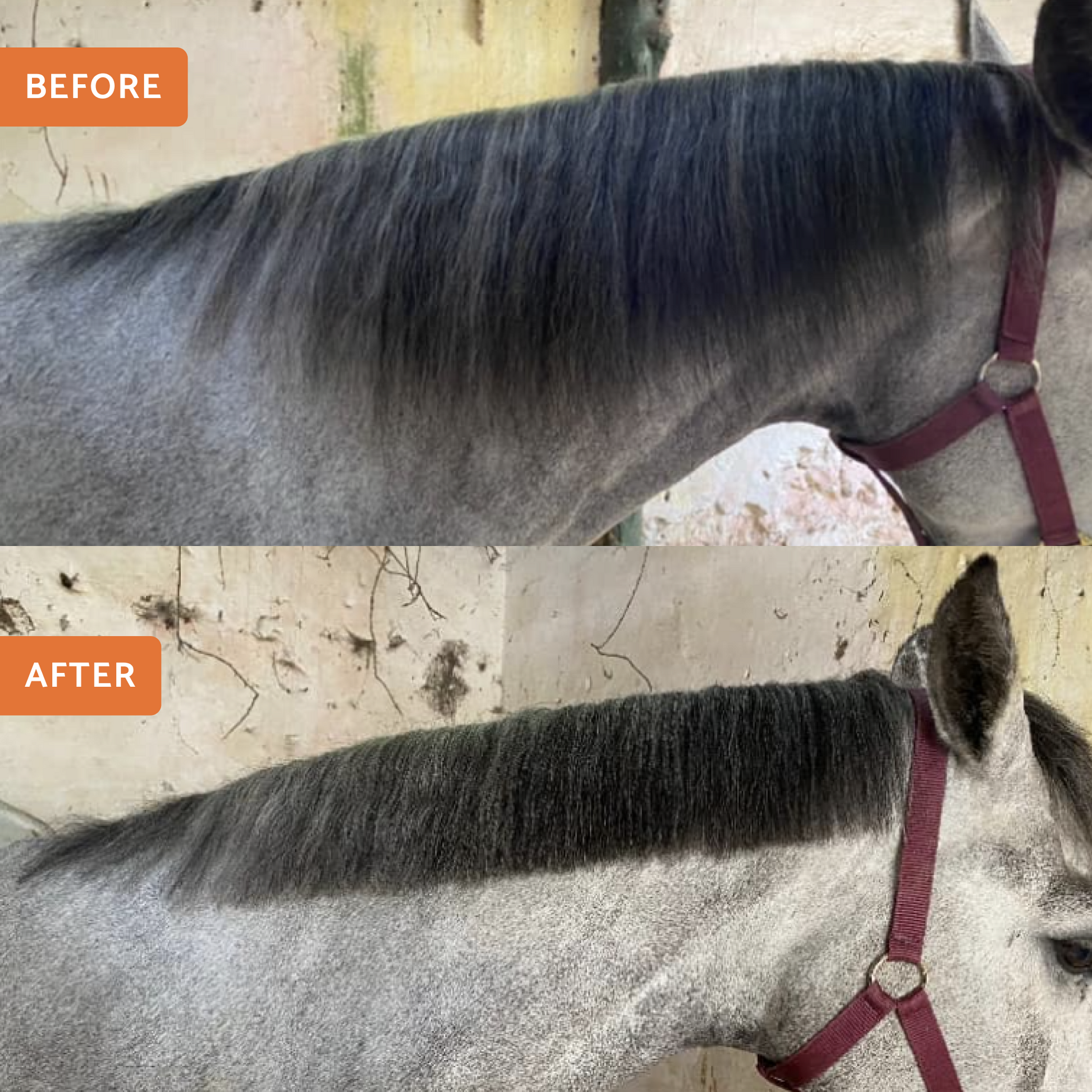 Wooden Mane & Tail Thinning Knife - Glas Equine