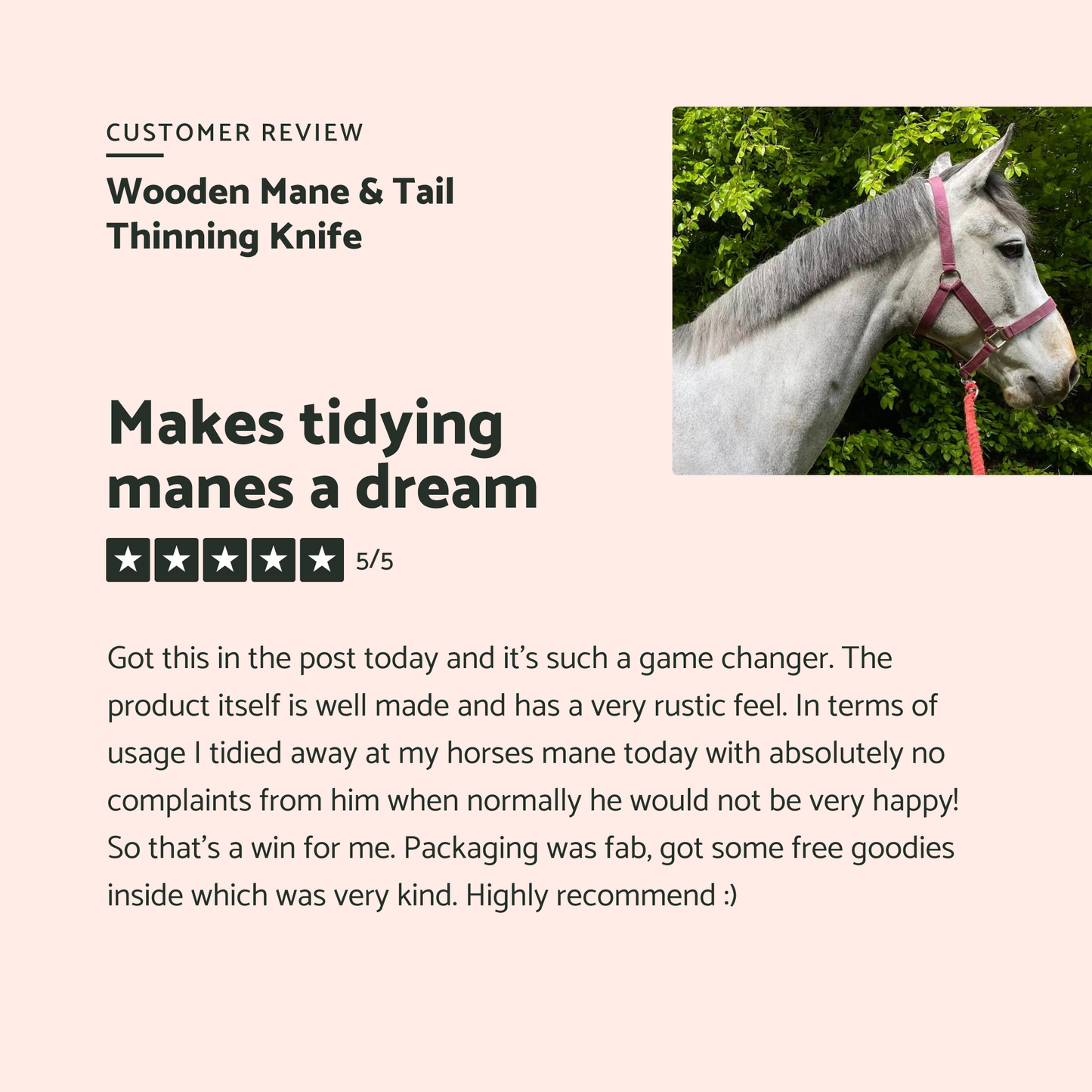 Wooden Mane & Tail Thinning Knife - Glas Equine