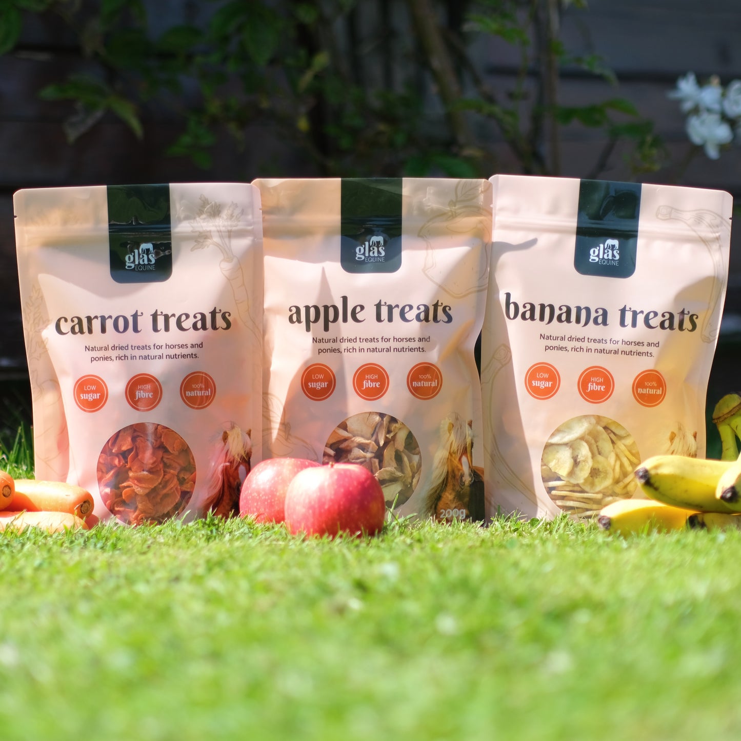 Natural Treat Bundle