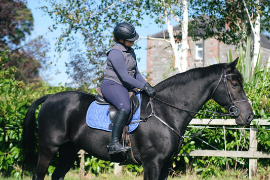 Jack Sparrow’s Journey: Finding Comfort with Glas Equine’s Winter Blend