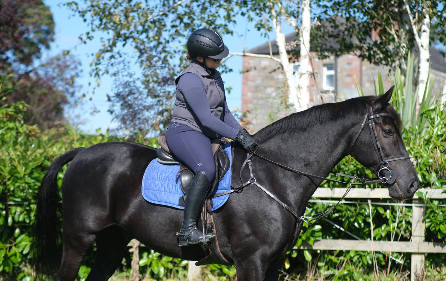 Jack Sparrow’s Journey: Finding Comfort with Glas Equine’s Winter Blend