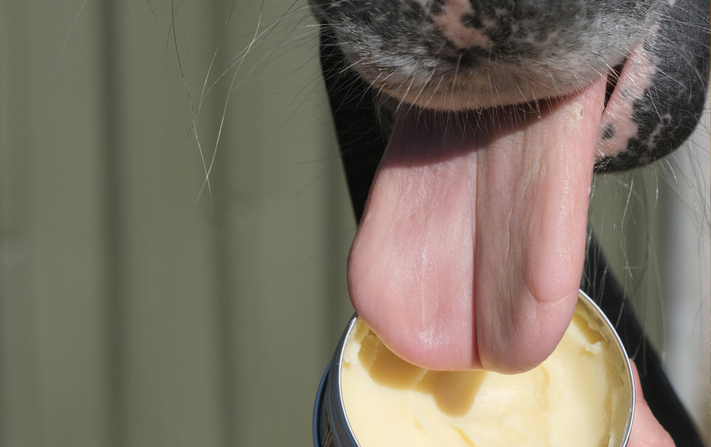 Big Butter Explained: Why Riders Use It