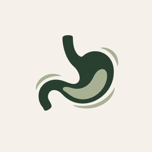 Gut & Digestion
