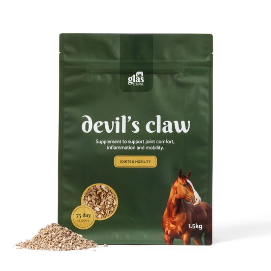 Devil's Claw Joint Support & Injury Care