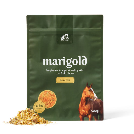 Marigold Skin, Coat & Blood Health