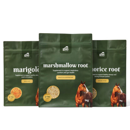 Winter Blend Immune Bundle