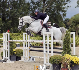 Glas Equine