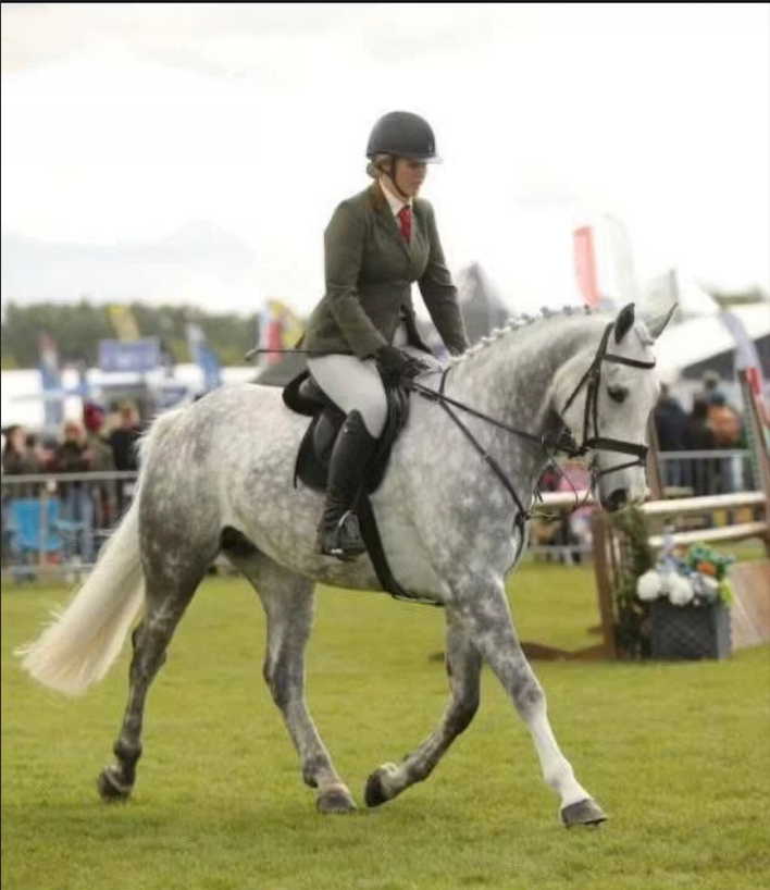Glas Equine