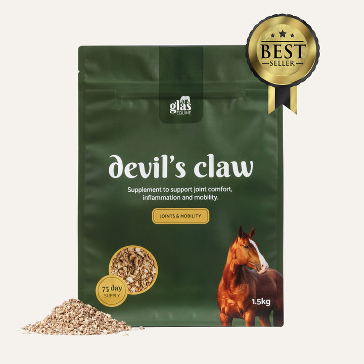 Devil's Claw Joint Support & Injury Care