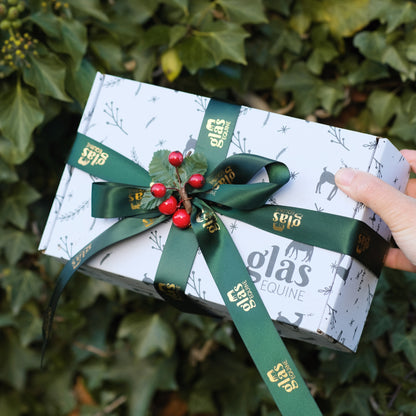 Christmas Grooming Gift Box