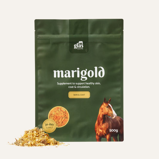 Marigold Skin, Coat & Blood Health