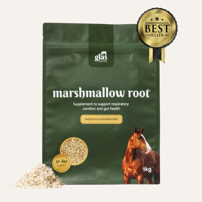 Marshmallow Root Digestive & Respiratory Support