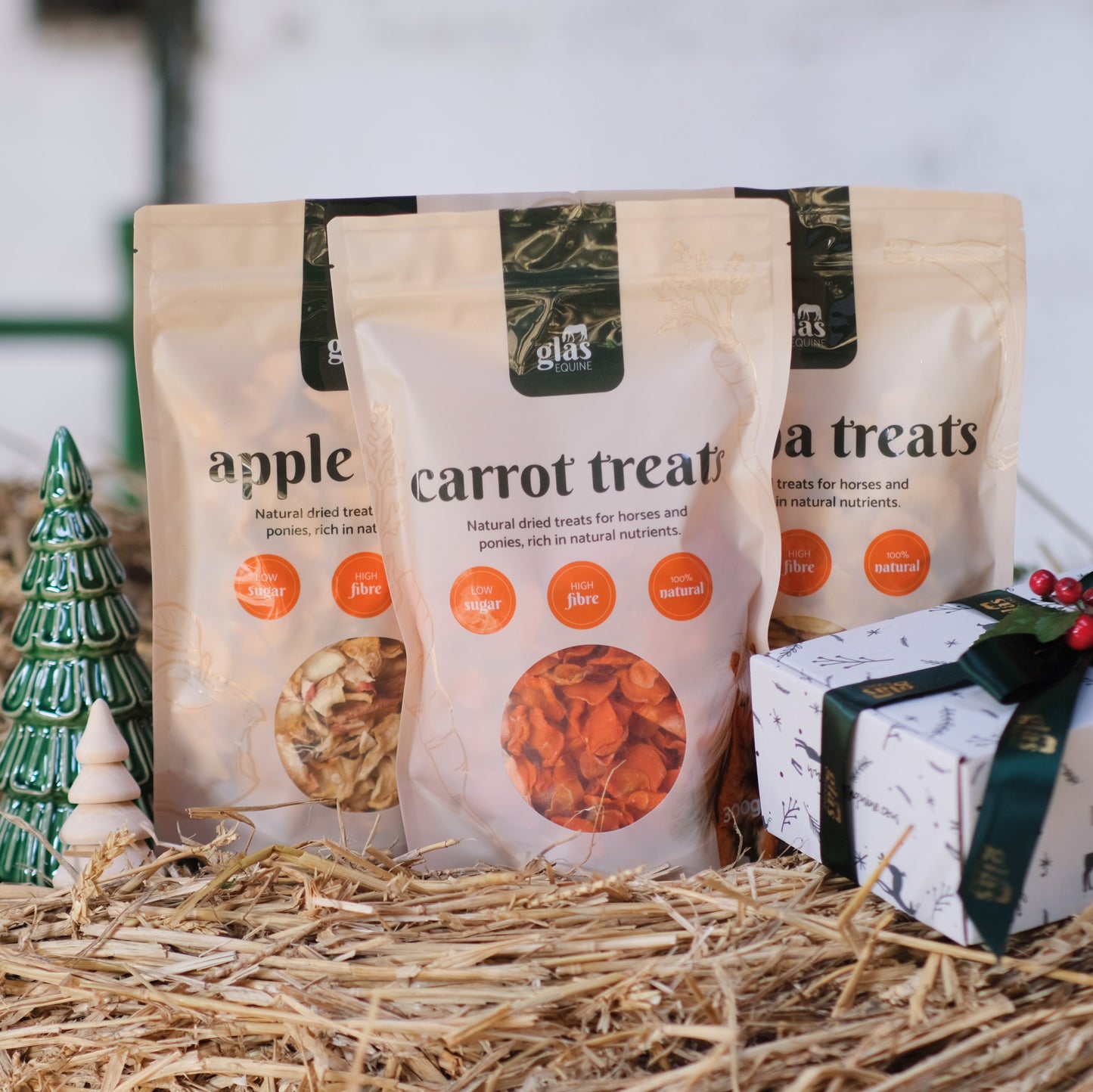 Christmas Horse Treat Gift Box