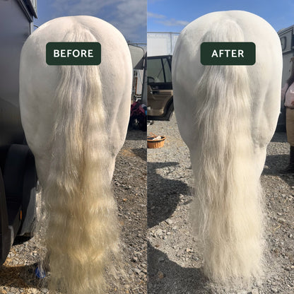 Whitening Powder