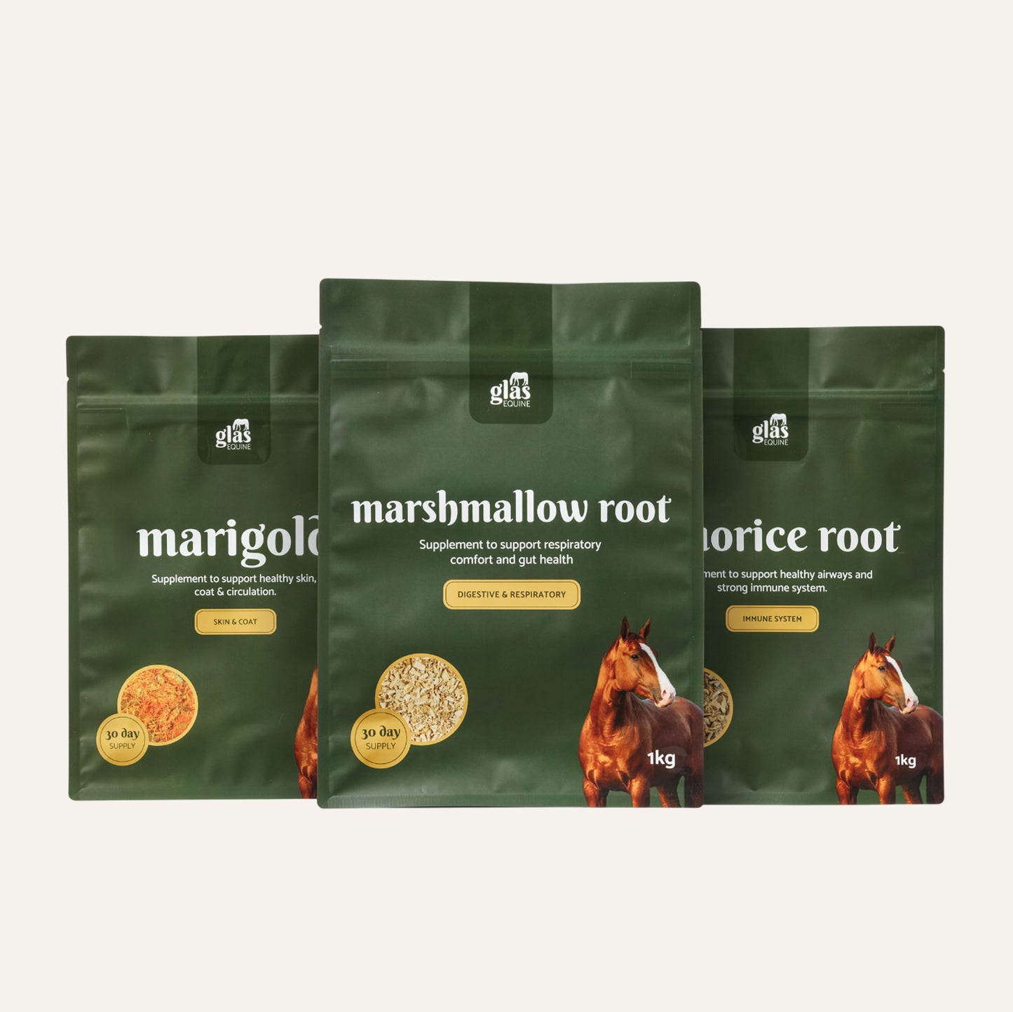 Winter Blend Immune Bundle