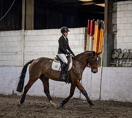 Glas Equine