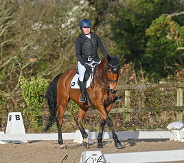 Glas Equine