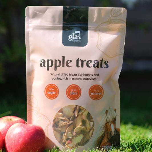 Natural Dried Apple Horse Treats