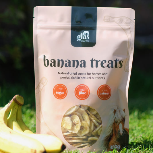 Natural Dried Banana Horse Treats