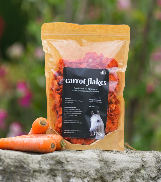 Natural Dried Carrot Horse Treats