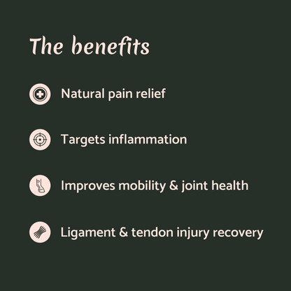 Devil's Claw Joint Support & Injury Care