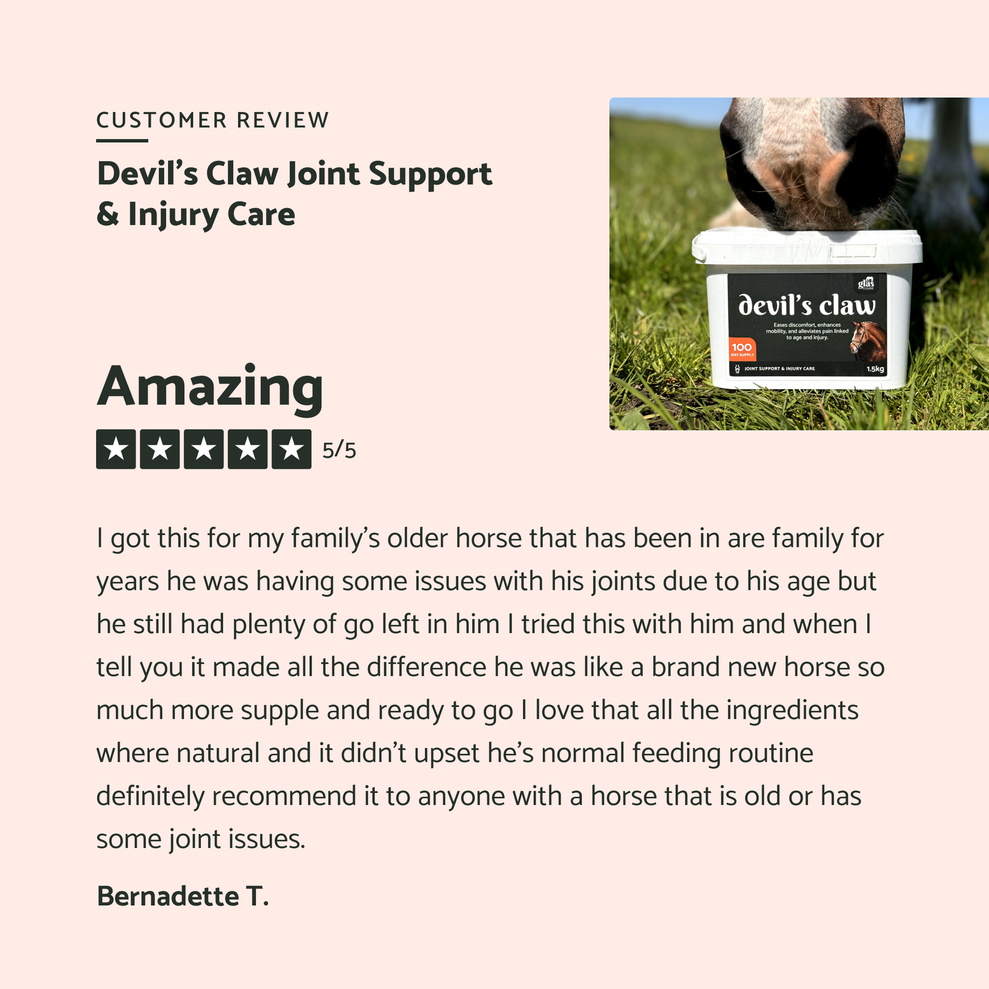 Devil's Claw Joint Support & Injury Care Refill - Glas Equine