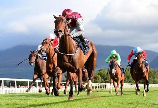 Glas Equine