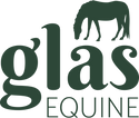 Glas Equine