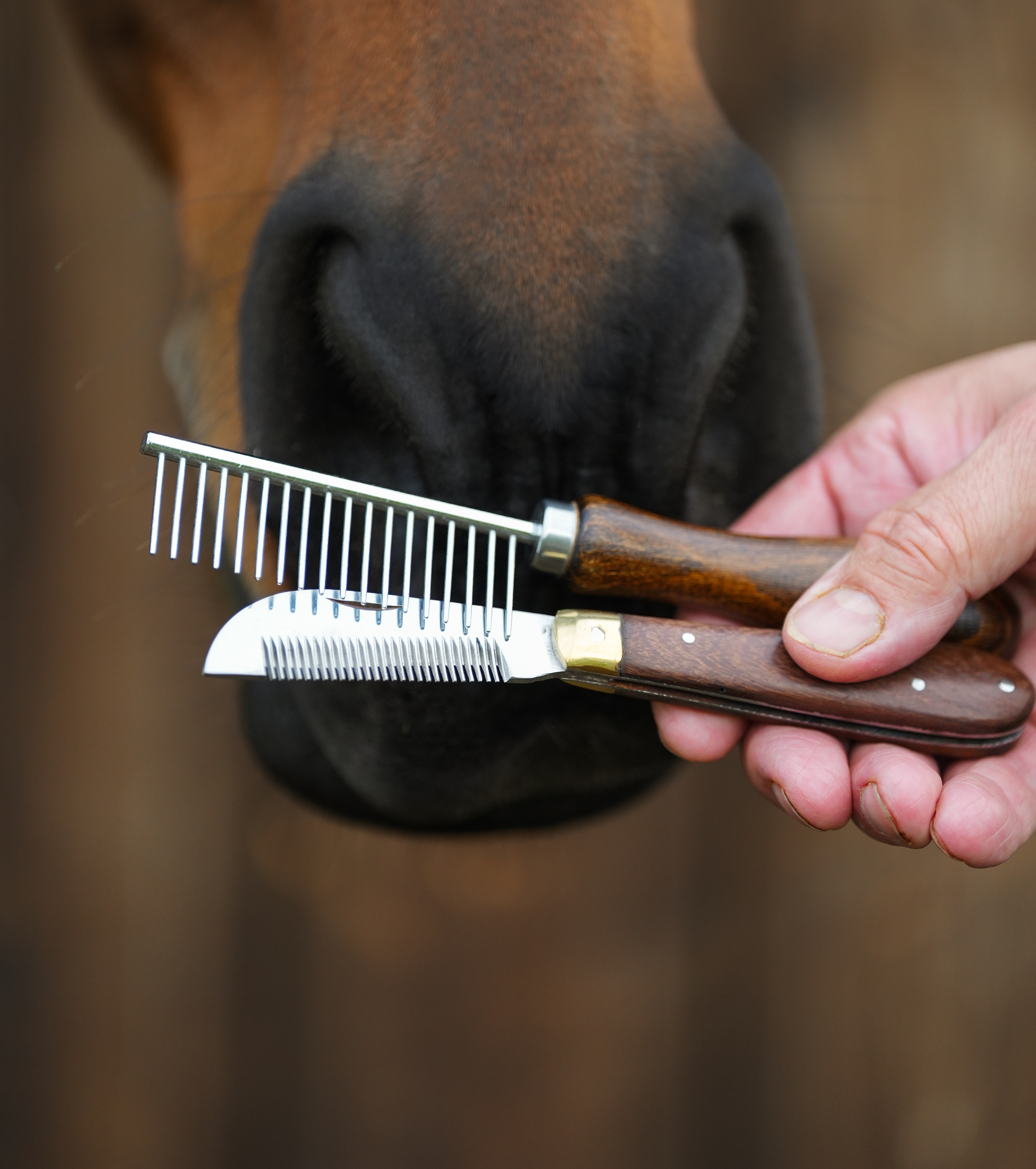 Mane & Tail Plaiting Kit