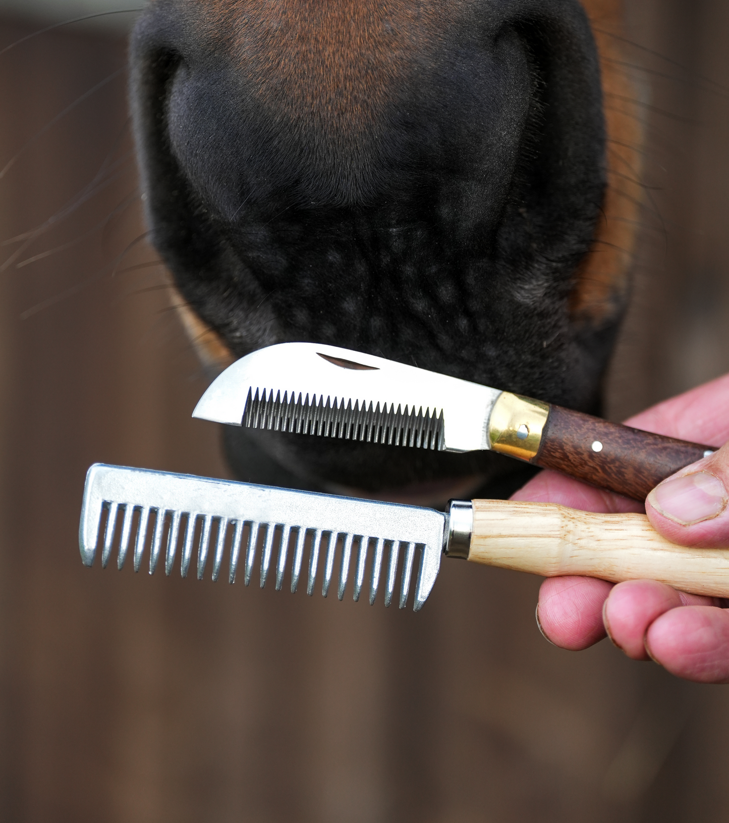 Mane & Tail Tidying Kit