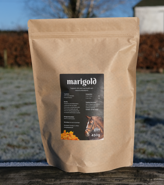Marigold Skin & Coat Supplement 450g