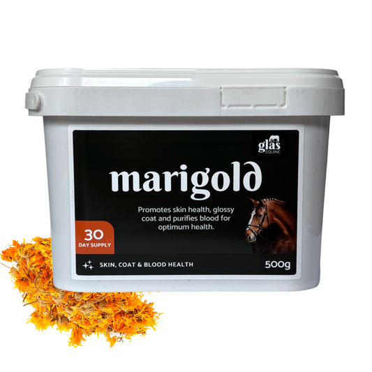 Marigold Skin, Coat & Blood Health - Glas Equine