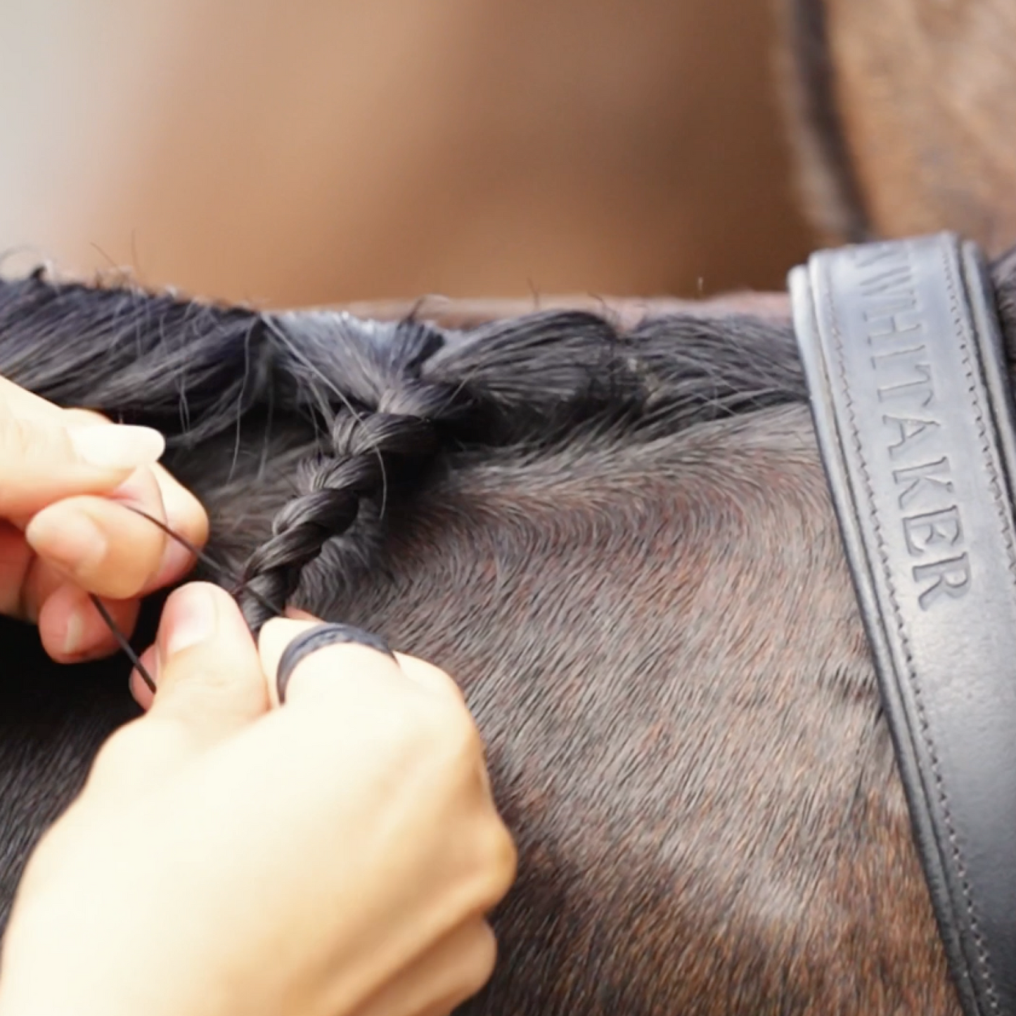 Black Rubber Plaiting Bands