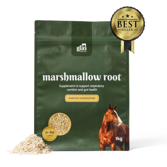 Marshmallow Root Digestive & Respiratory Support