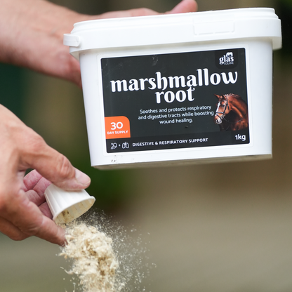 Marshmallow Root Digestive & Respiratory Support