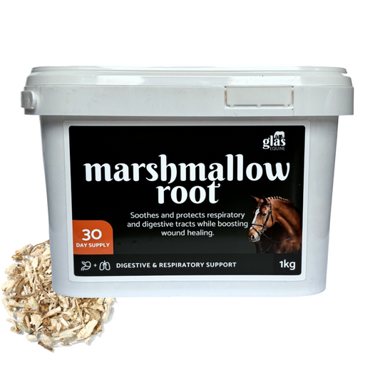 Marshmallow Root Digestive & Respiratory Support - Glas Equine