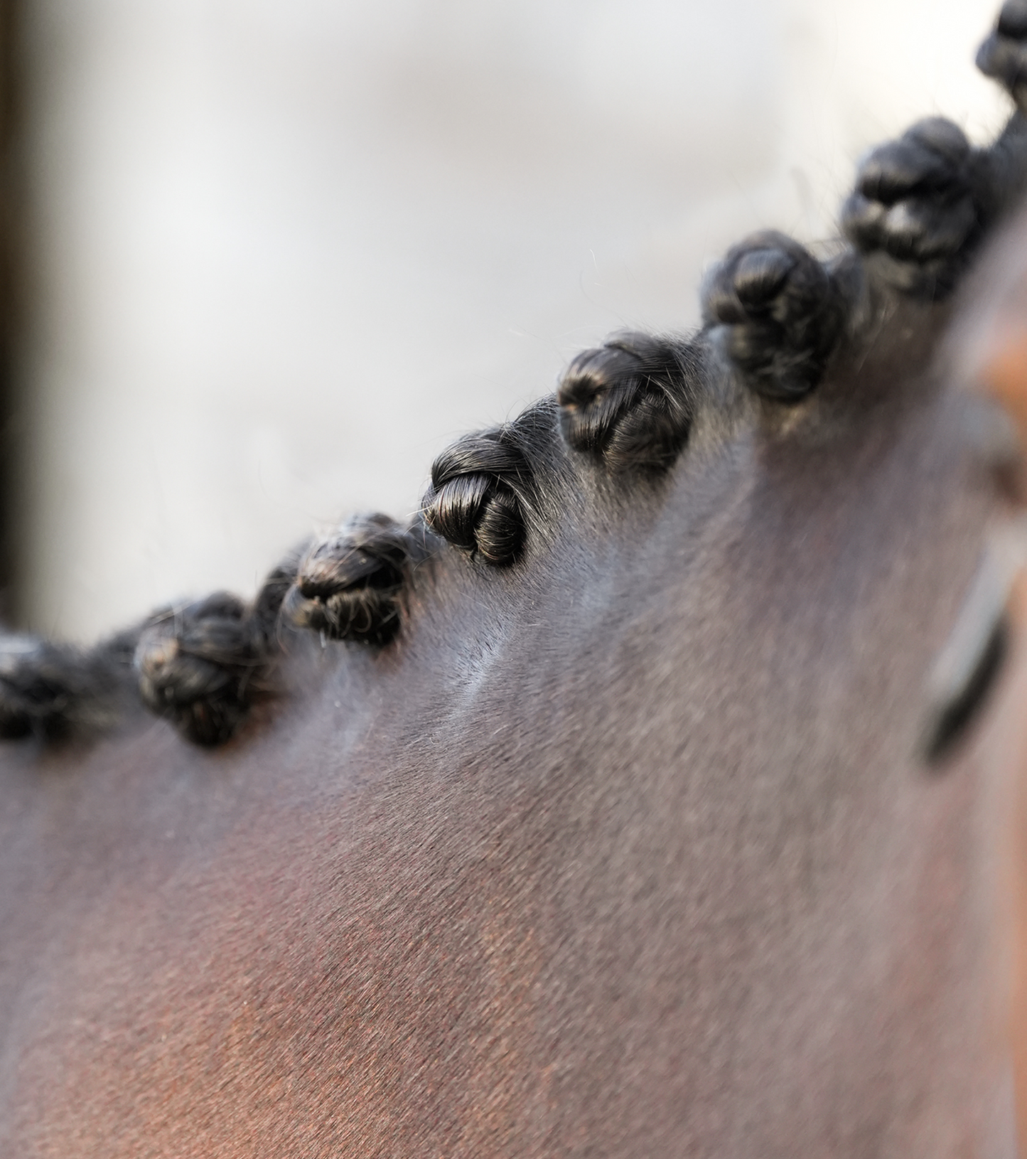 Wooden Plaiting Comb