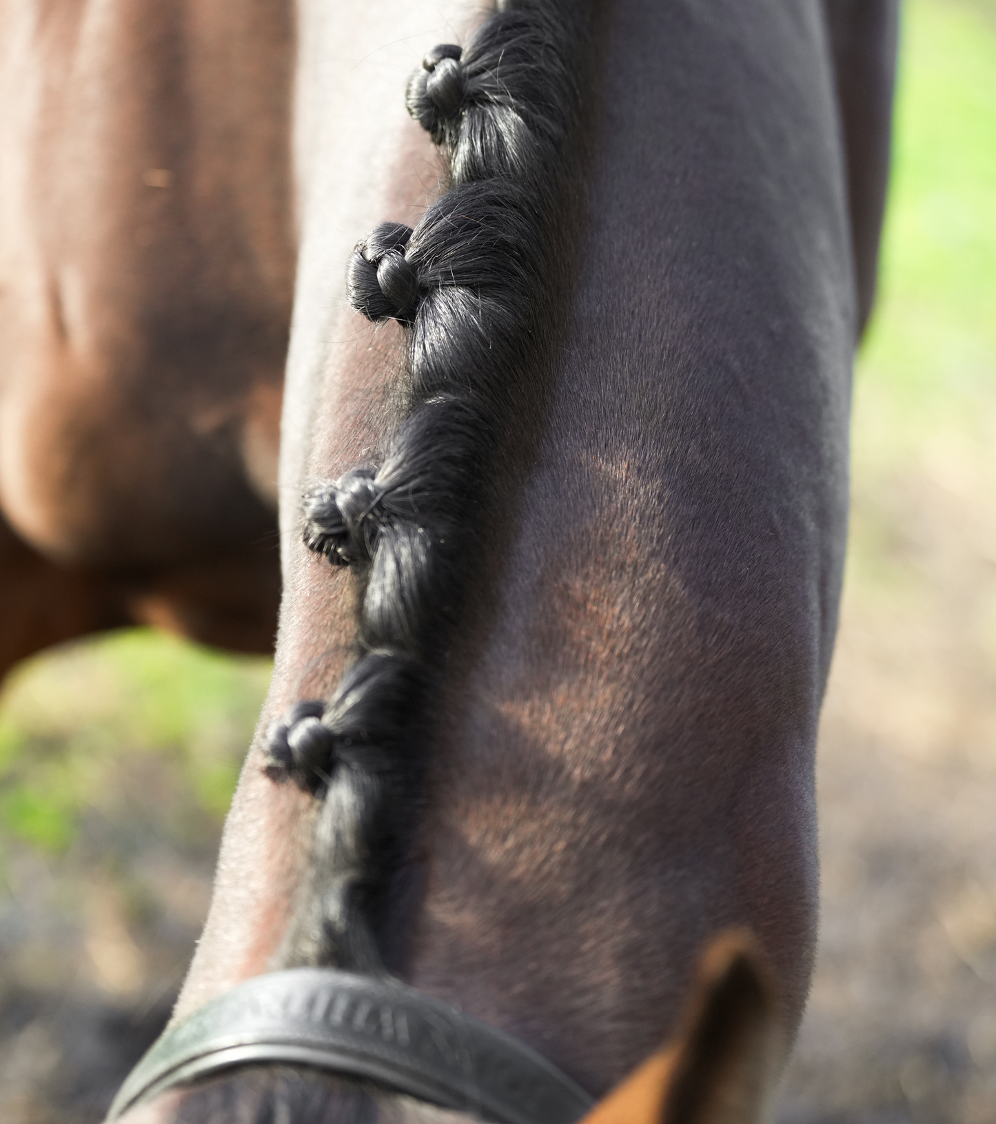 Wooden Plaiting Comb