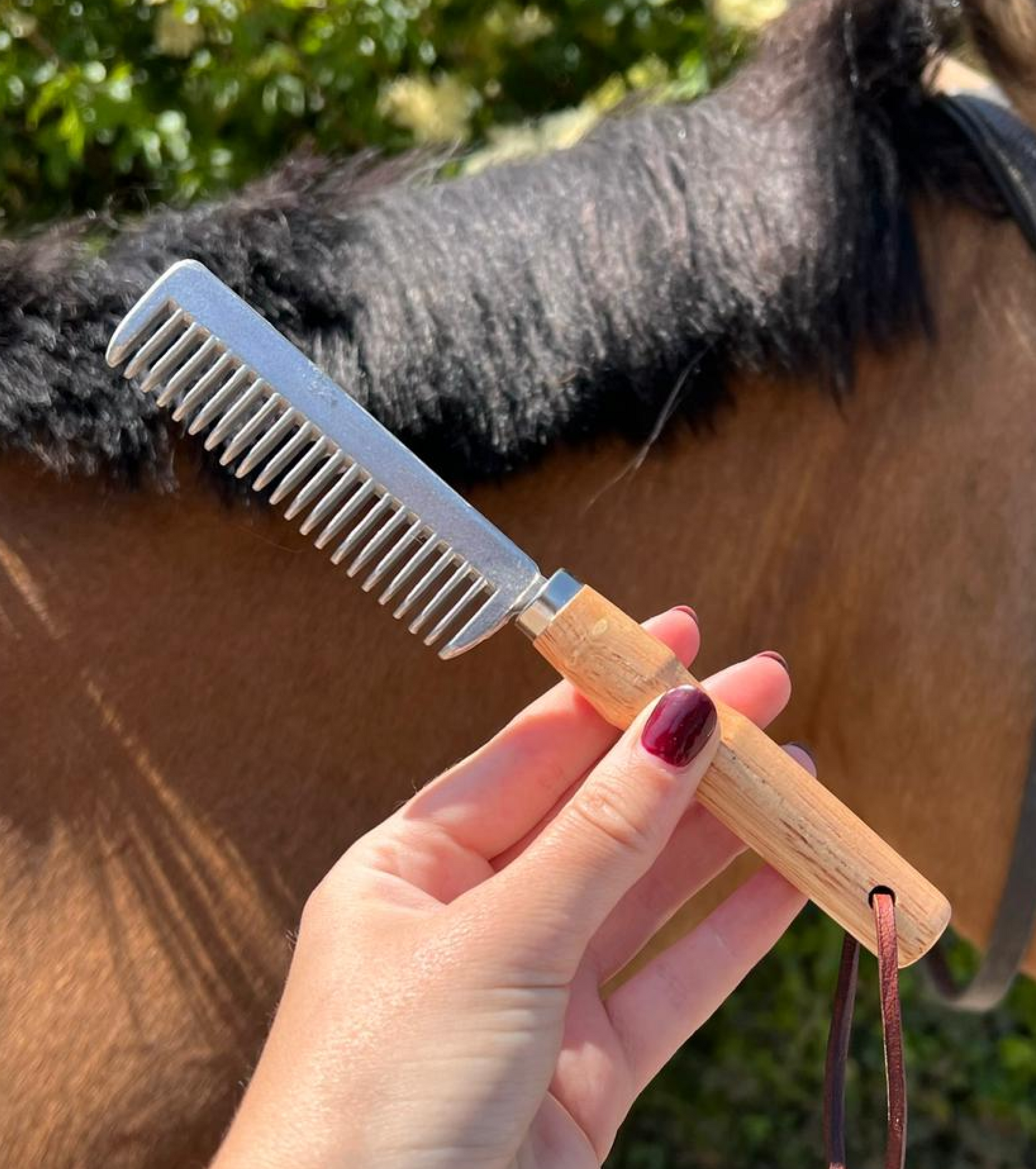 Ultimate Tidying & Plaiting Kit - Glas Equine