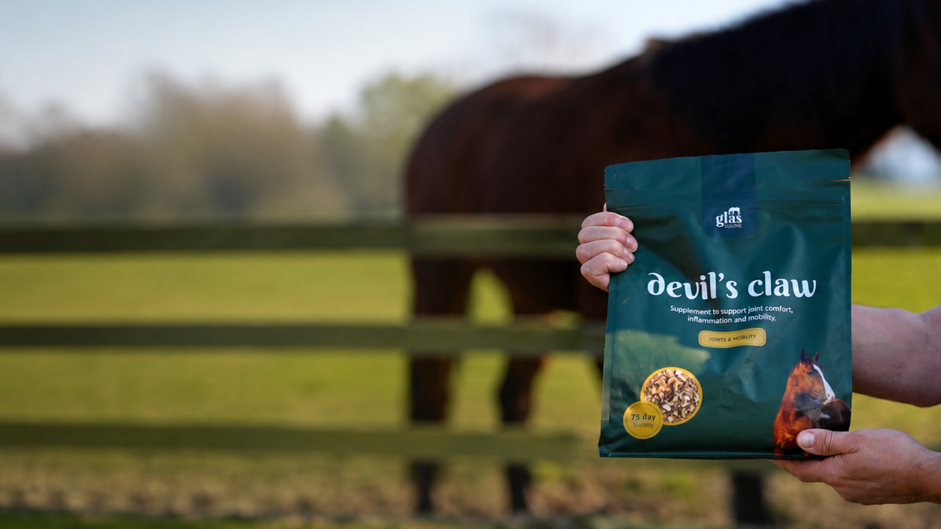 Glas Equine