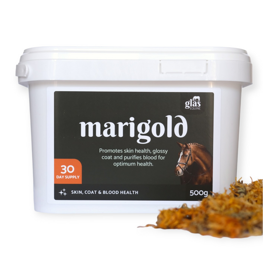 Marigold Skin, Coat & Blood Health