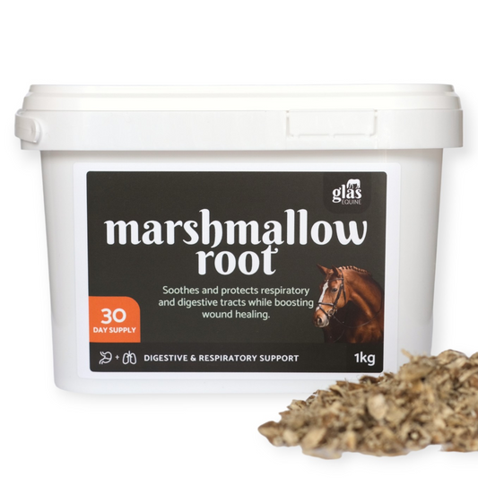 Marshmallow Root Digestive & Respiratory Support